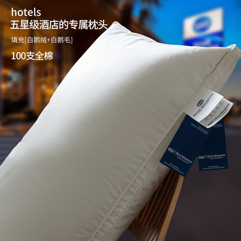 Exportação cinco estrelas Hotel para baixo travesseiro 50x80cm branco ganso para baixo BW travesseiro núcleo único domés