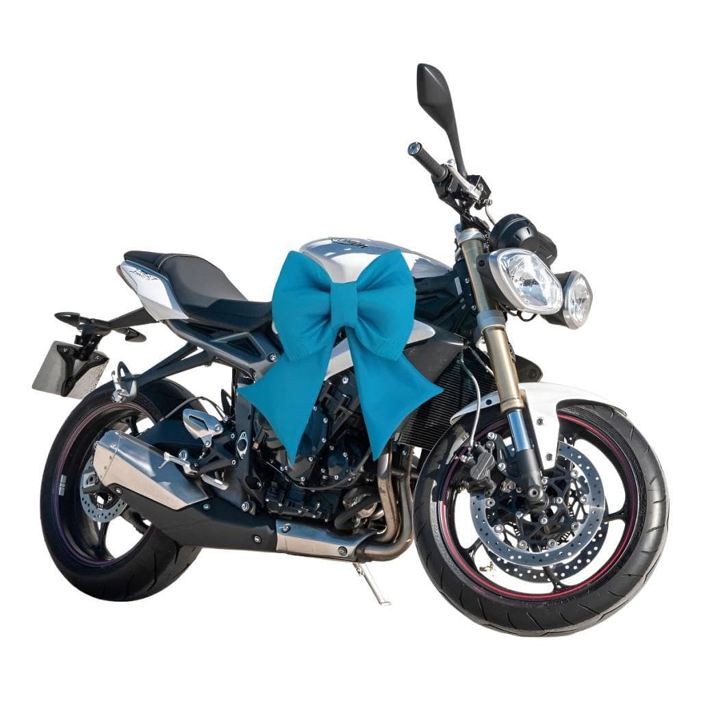 Laço Gigante Moto Carro Decoração Natal Oxford Azul Dourado