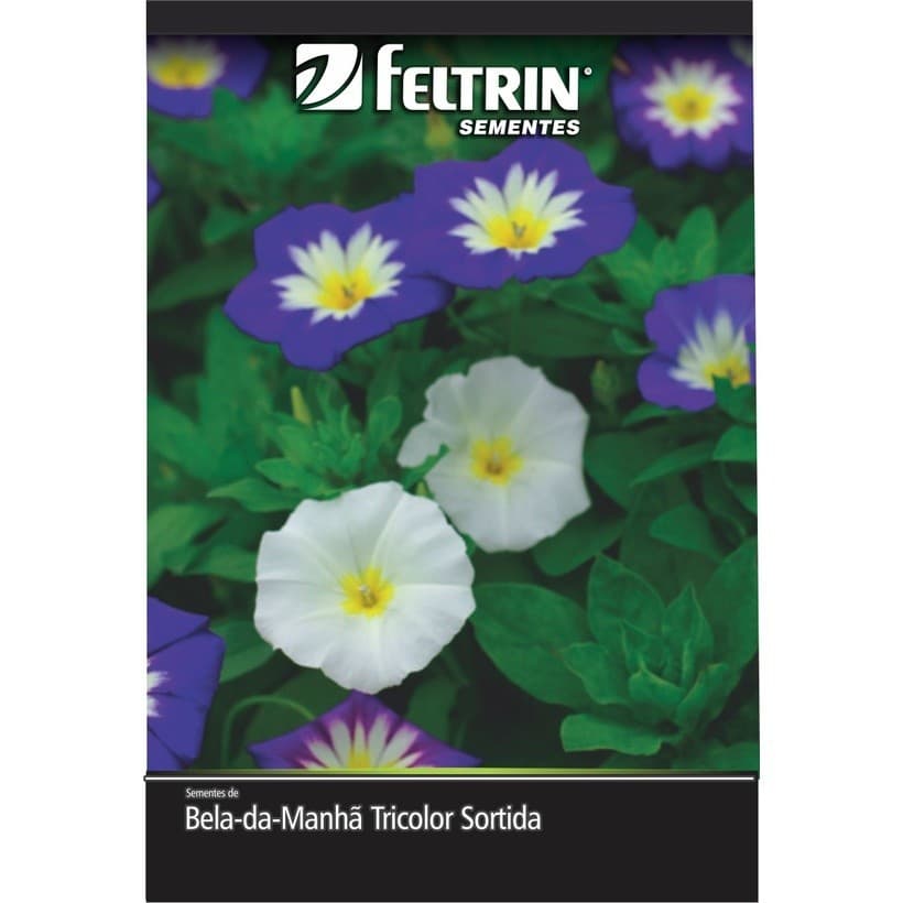 Sementes de Bela-da-Manhã Tricolor Sortida - Feltrin
