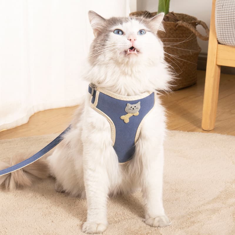Gato tração corda colete-estilo cinta de peito passeio dedicado Anti-quebra gato corda gravata gato corda bonito cinta m