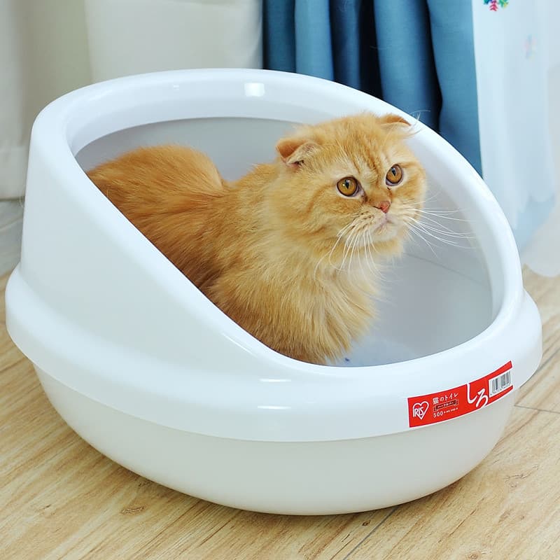 Alice caixa de areia para gatos Semi-fechada, banheiro para gatos, alice, caixa de areia para gatos aberta, suprimentos