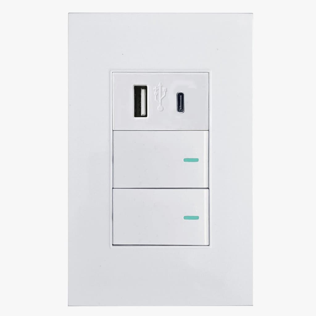 Interruptor Duplo E Entrada USB Com Entrada Tipo C Para Embutir Em Parede, Jwcom