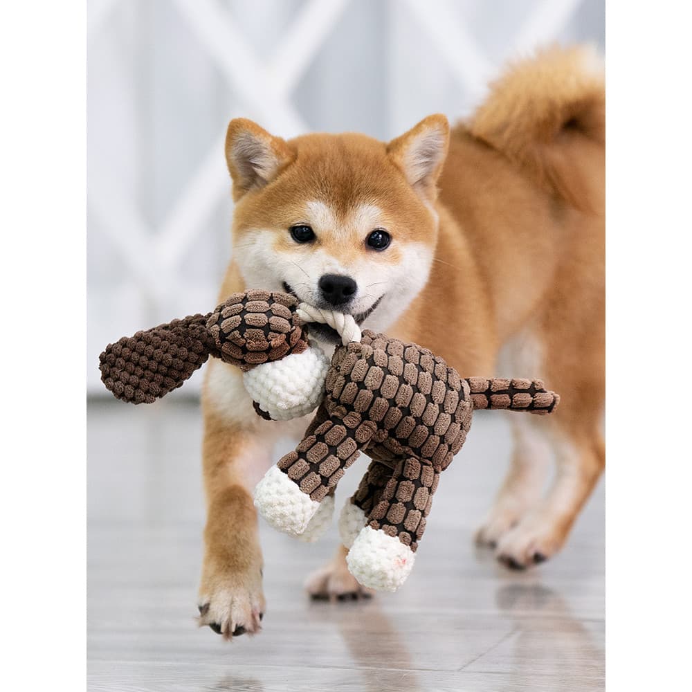 Brinquedo do cão voz de pelúcia Shiba Inu Molar resistente à mordida médio grande cão Corgi luta francesa consumo físico