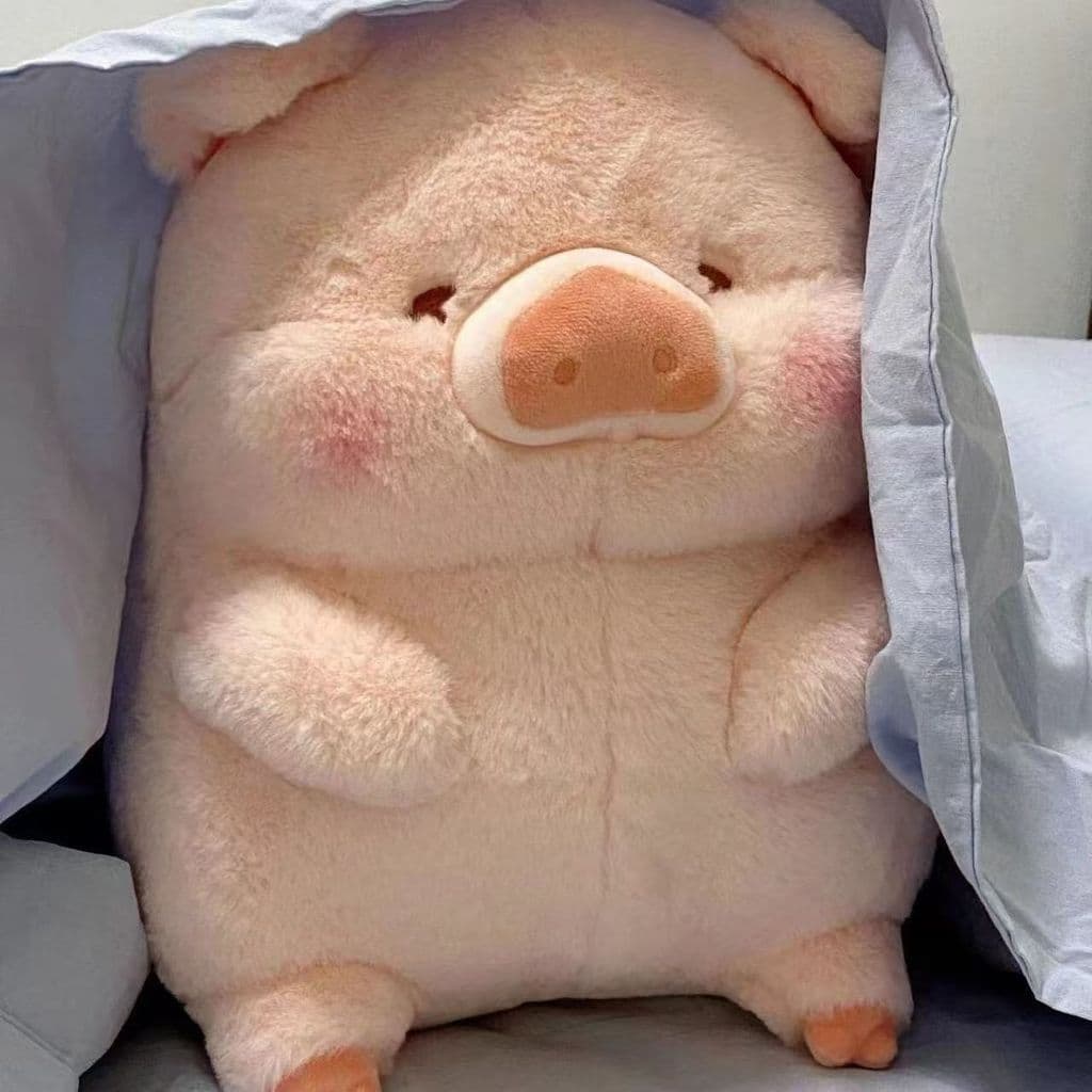 Bonito lulu porco bonito boneca brinquedo de pelúcia travesseiro cama boneca série Super macio presente macio porco