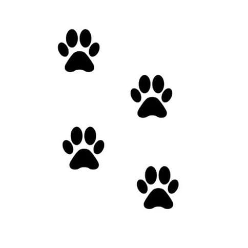Adesivo Patinha De Cachorro Gato Kit 4 Unidades 4x4cm