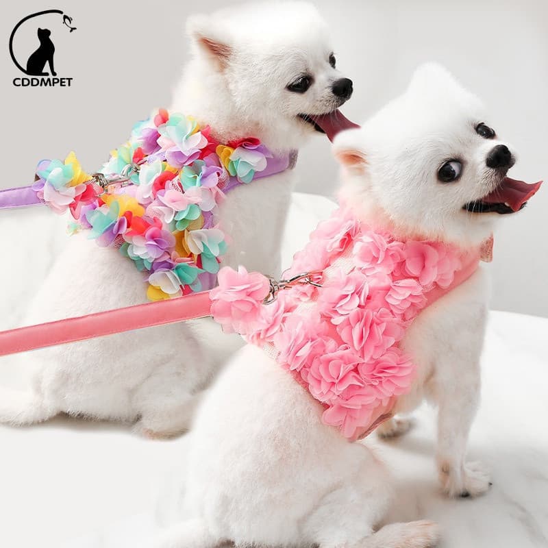Coleira Peitoral Com Guia Para Cachorro Cães Pequenos Colete De Gatos Com Flores Pinscher