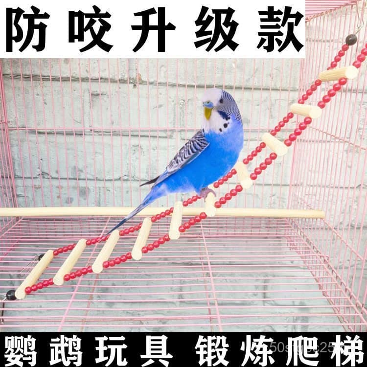 Escada macia para pássaros, escada de escalada para periquitos, agapornis e calopsitas, para mastigar e escalar, escada