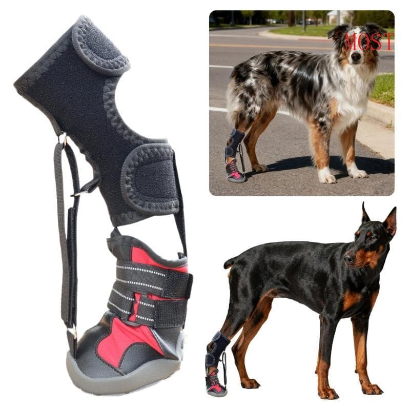 1 2 Unidades Cinta Bota Serrilhada Para Cães, Sapatos Levantar Segurança Do Dedo Pé