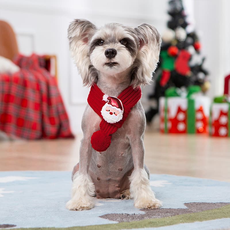 Brasil Natal Ano Novo Suéter para Animais de Estimação Gato Cachorro Luz Respirável Fantasia de Natal Festa de Natal Sué