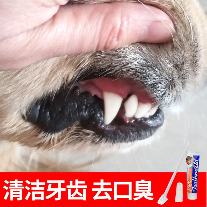 Conjunto de pasta de dentes para cães, berços de dedo, Golden Retriever, limpeza dedicada, pelúcia comestível, mau hálit