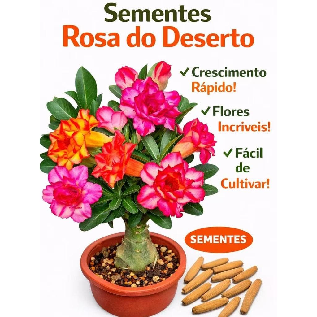 Sementes de Rosa do Deserto Colorida para Plantio Flor Ornamental Exótica Fácil de Cultivar em Vasos e Jardim