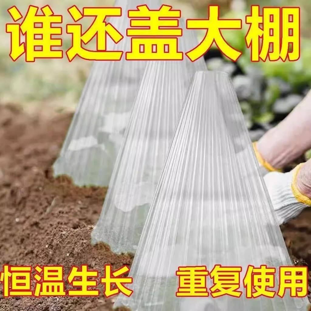 Mudas proteção de estufa transparente sino capa reutilizável planta quadrada estufa evitar pássaros geada espessamento