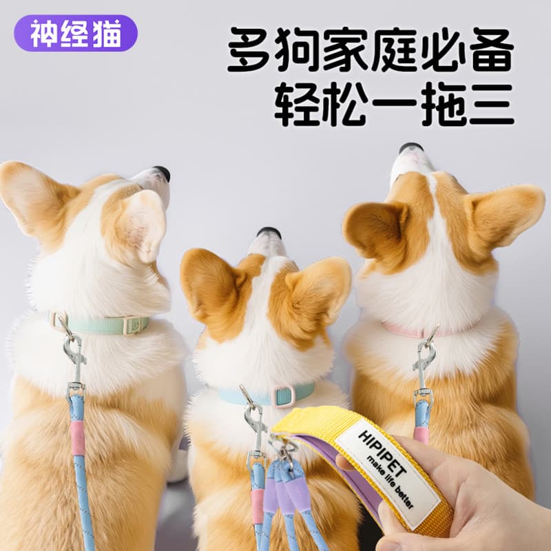 Coleira para cães, coleira para caminhada de cães pequenos, coleira para cães de tamanho médio, filhote de cachorro, Cor