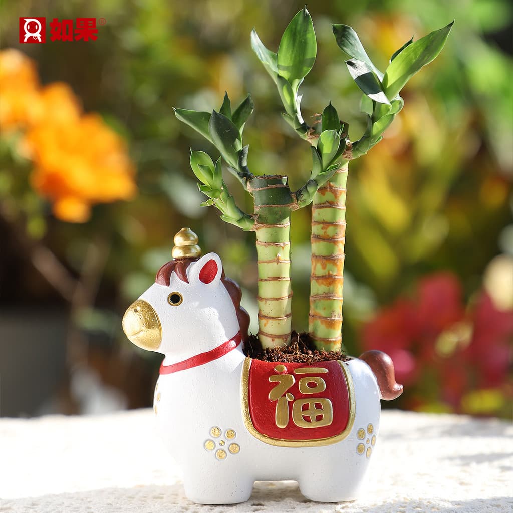 Desenhos animados pônei suculento planta verde vaso de plantas recipiente de flores imediatamente ficar rico árvore vaso