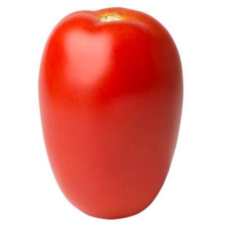 1.500 Sementes de Tomate Híbrido Kandya Alta Germinação Fácil de Plantar para Horta Jardim