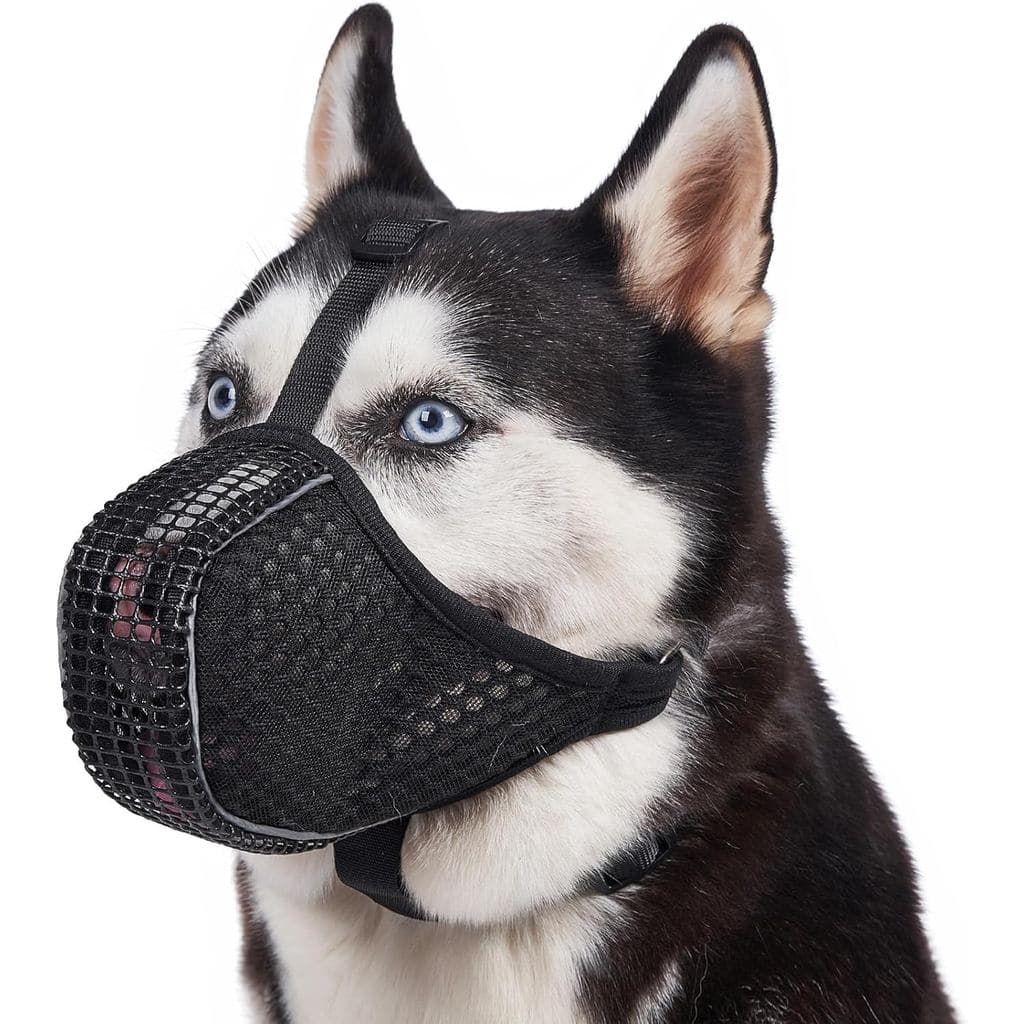 Focinheira para Cães Mayerzon, Focinheira de Malha para Cães de Médio e Grande Porte, Refletiva para Passeios Noturnos,
