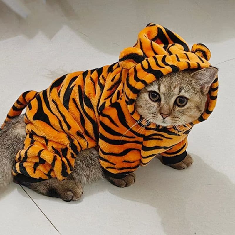 Gato pequeno tigre roupas outono inverno estilo quente de uma peça roupas de quatro patas Pet filhote de cachorro roupas