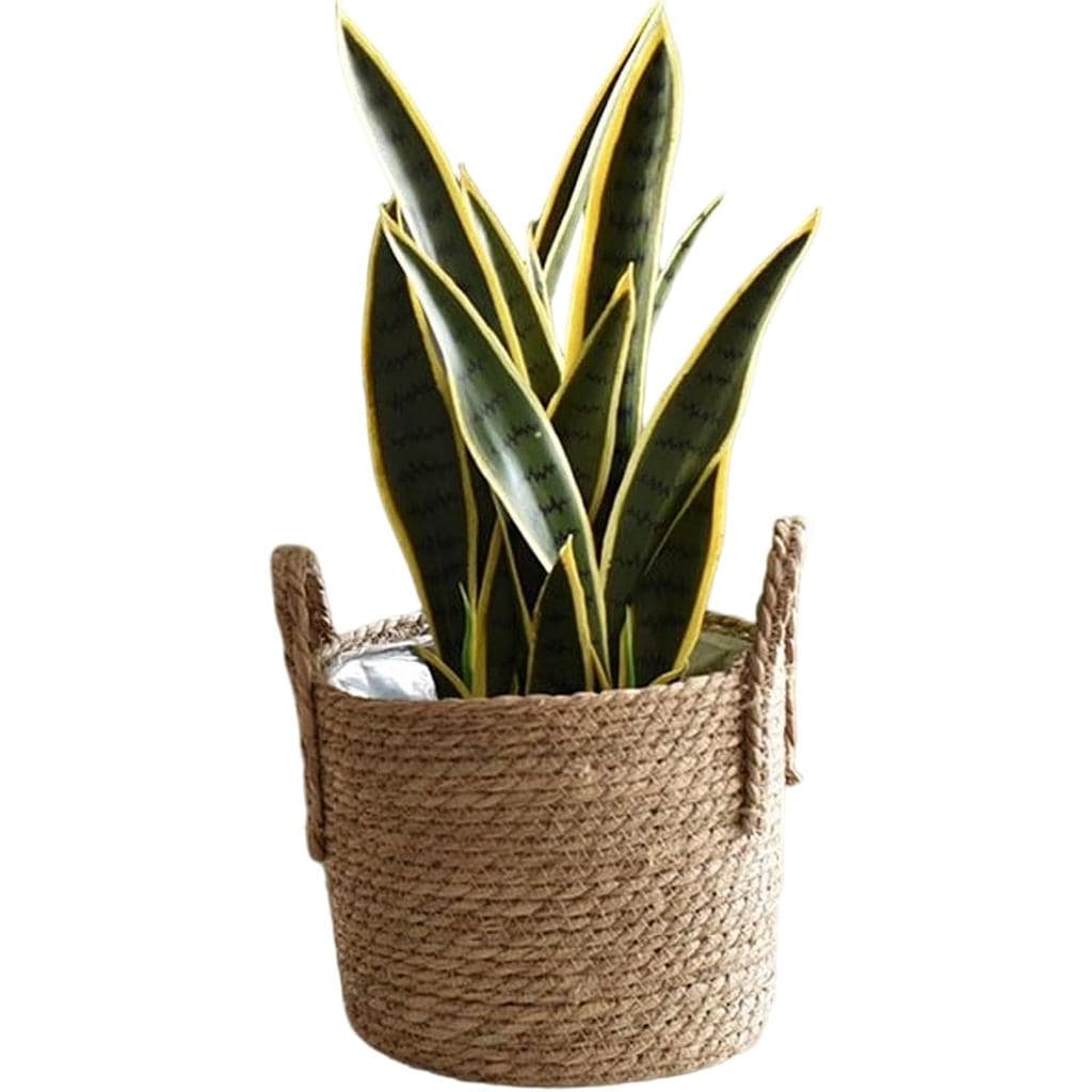 Cesto de plantas tecido - vaso de flores de palha, vaso de fibra natural, design com alça integrada, decoração decorativ