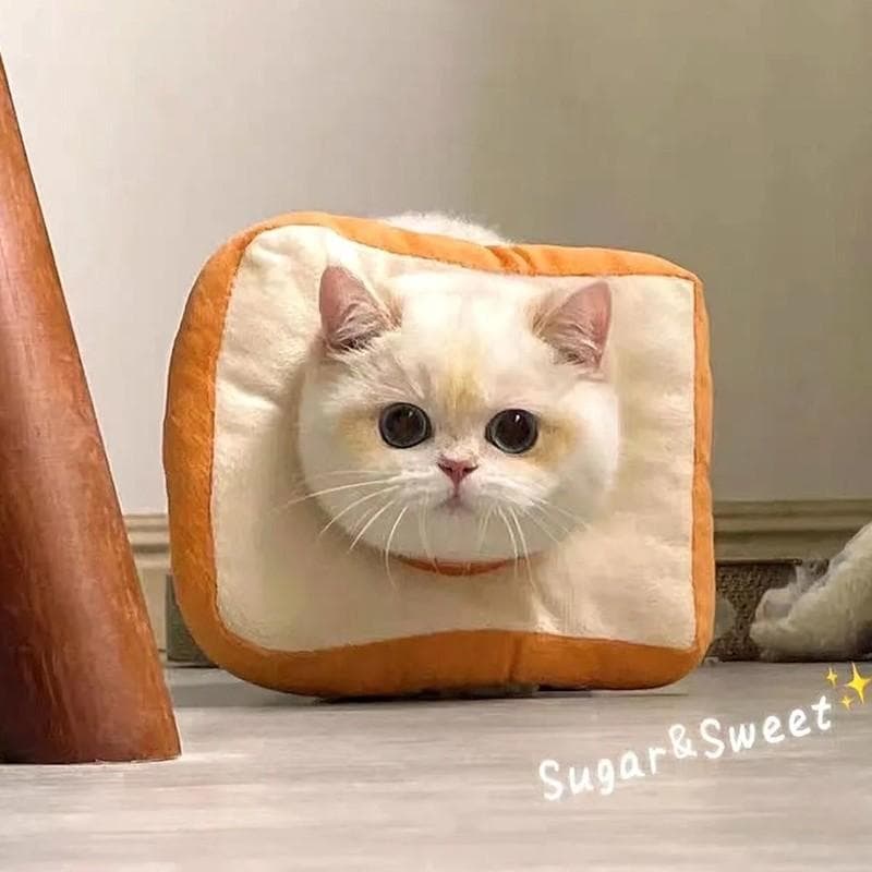 Coleira de gato fofa anti-arranhões anti-mordida coleira de pão ajustável Muppet alemão gato esterilização Elizabeth col