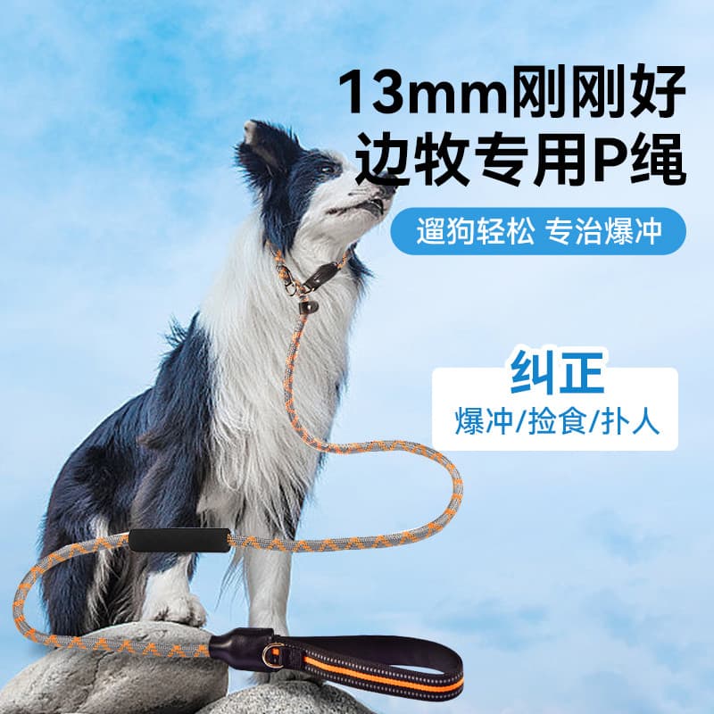 Coleira para cães, coleira para cães, corrente p, coleira para caminhada, Corgi, cachorro grande, filhote de cachorro, p