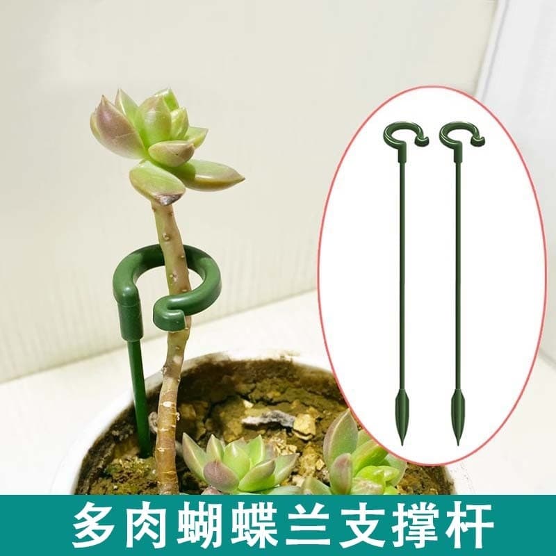 Haste de suporte de planta orquídea proteger ramo de folha suculenta suporte de flor especial quadro de suporte de jardi