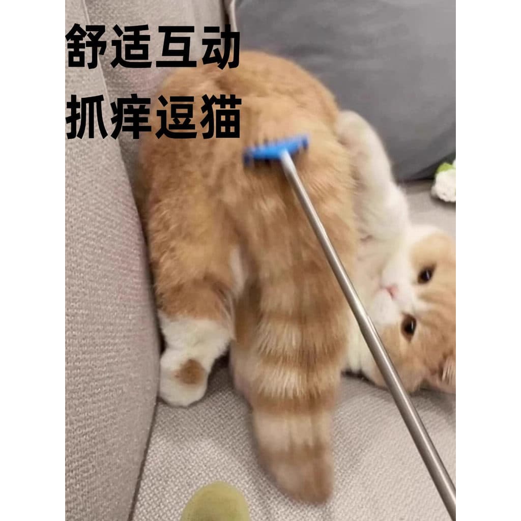 Engraçado gato engraçado vara brinquedo gato massagem interativo aliviar o tédio coçar gato ferramenta útil pente retrát
