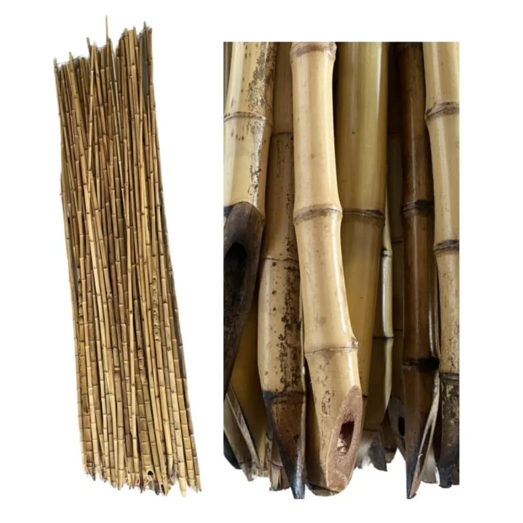 Estacas de Bambu / Tutor de Bambu Natural 1Metro - Escolha a Quantidade