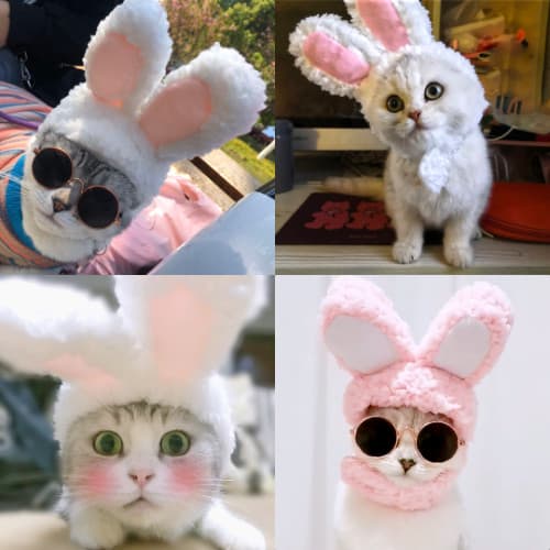 Grampo de cabelo de gato, chapéu fofo de aniversário de natal, acessórios para cabelo de animais de estimação, cachorro,