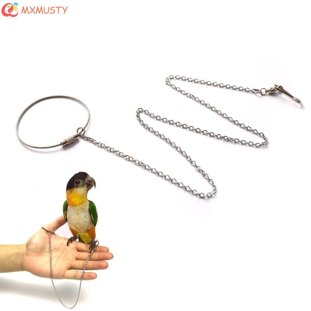 MXMUSTYZA Corrente Para Pés De Periquito , Aço Inoxidável , Calopsita , Pombo Ao Ar Livre , 1 Peça , Suporte Pássaros ,