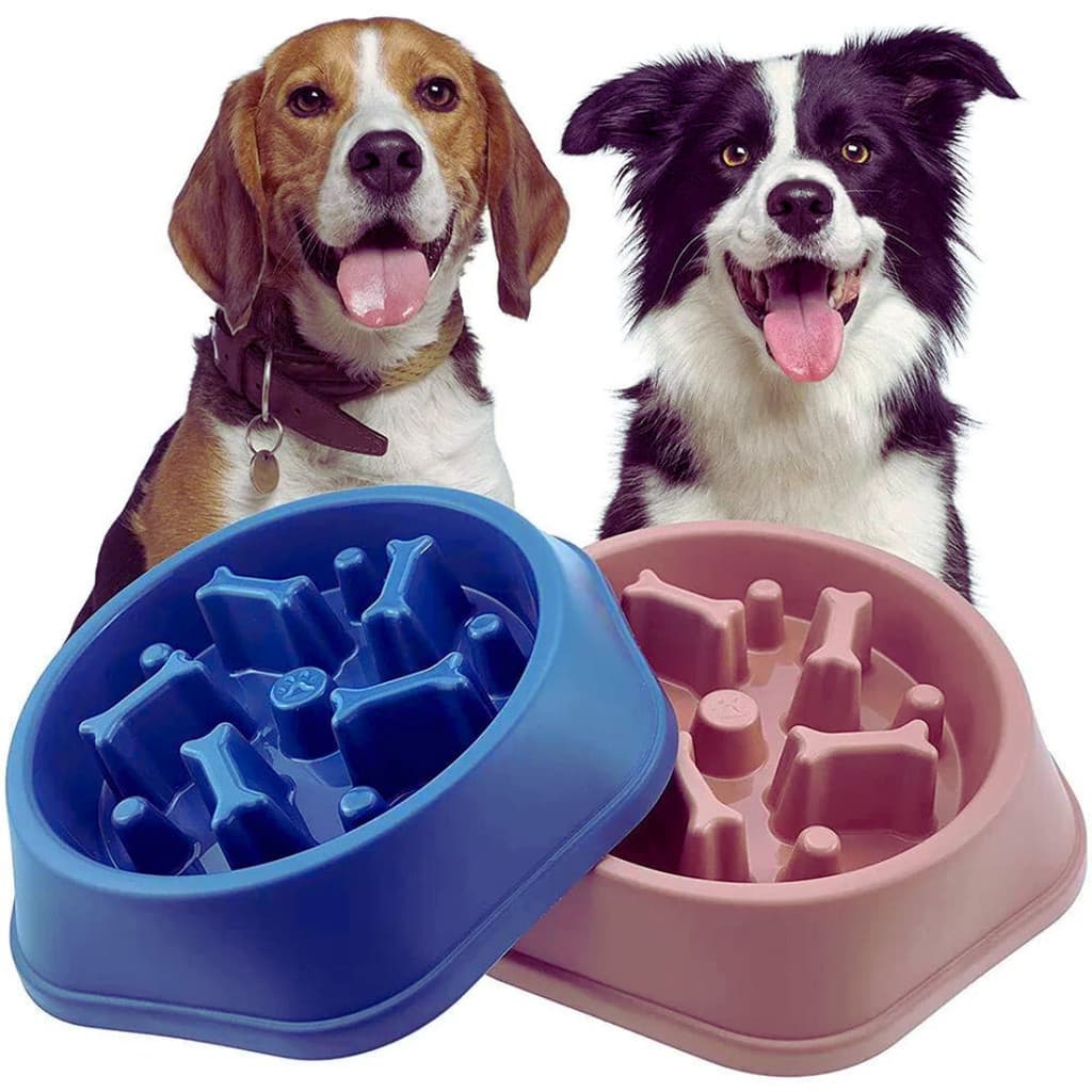 Comedouro Cães lento educador Interativo Foodtimer interativo