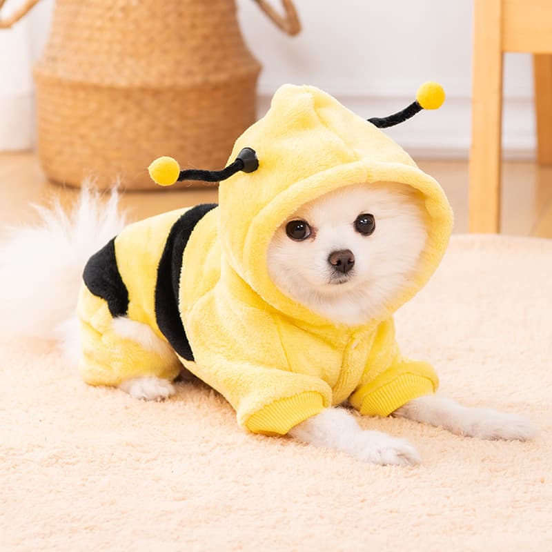 Roupas para cães outono inverno roupas bonito abelha animais de estimação gatos cães pequenos filhotes Teddy Bichon Pome