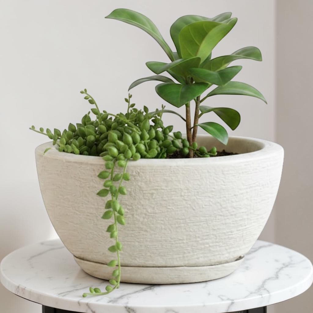 Vaso Bacia Textura Escovada 13x25 com Prato Coletor para Flores Suculentas e Cactos