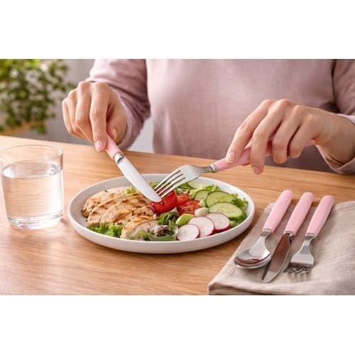 Conjunto Talheres Rosa 12 Peças Talheres Inox Design Moderno Caprese