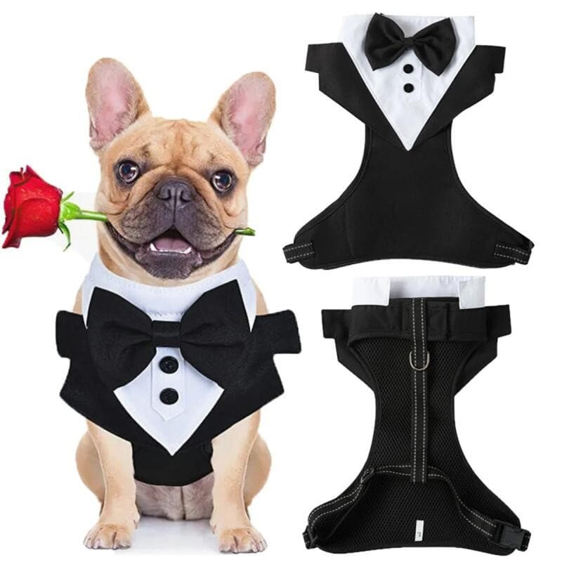 Cão Smoking Traje Formal Camisa Casamento Jaqueta Preta Terno Pet Filhote De Cachorro Príncipe Cerimônia Gravata Borbole