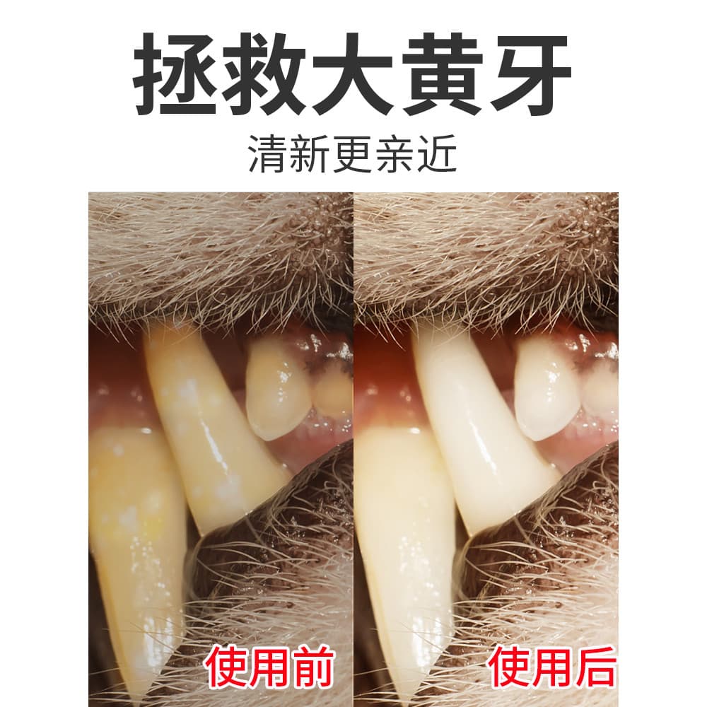 Conjunto de escova de dentes para cães, conjunto de pasta de dentes para gatos dedicados, Golden Retriever, removedor de