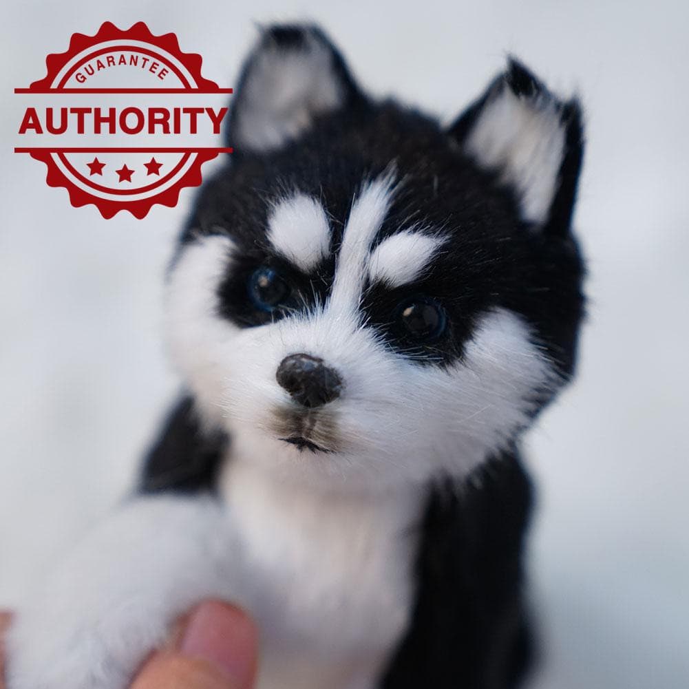 Brinquedo de Simulação Realista, Pelúcia de Husky, Almofada de Animal, Decoração para Casa, Cachorro G9E0