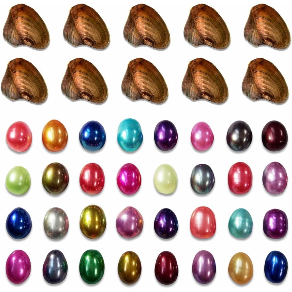 10 Peças de Ostra de Pérola de Água Doce com Pérola Oval Interna, Pérolas Cultivadas Coloridas e Significativas para Fab