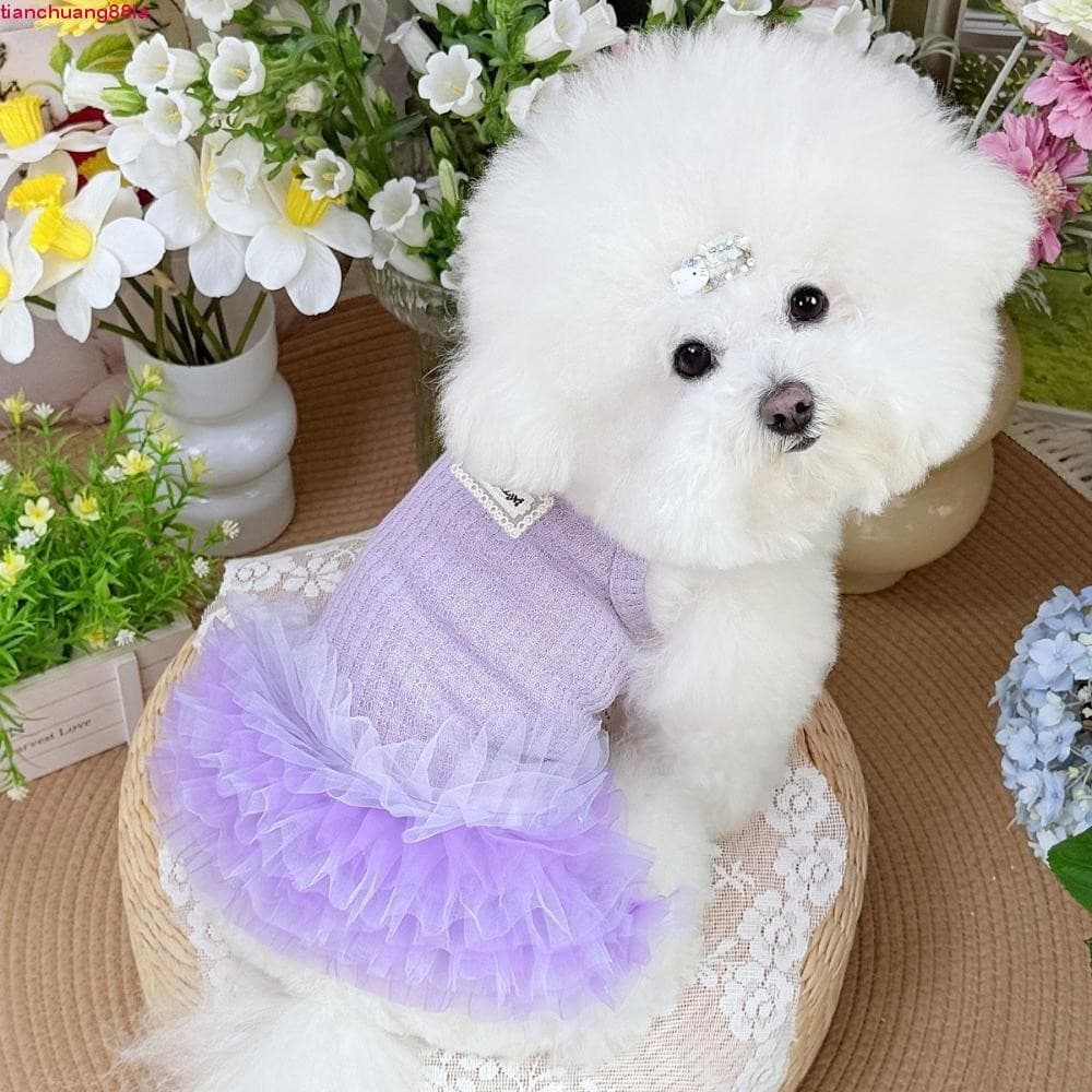 Vestido De Verão Para Cachorro TIANCHUANG , Princesa De Respirável De Renda Gato Roxo Confortável De Design Fino