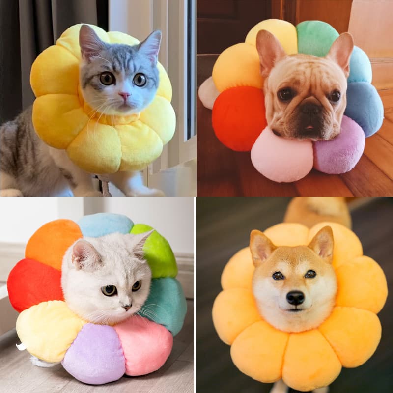Coleira Elizabeth para cachorro e gato, arnês para gato, coleira para cachorro, vergonha, anti-lamber, anti-mordida, col