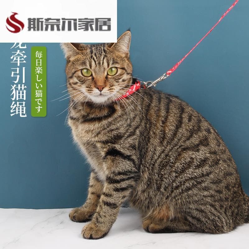 Corda para gato, corda para gato, coleira para animais de estimação, cachorro, gato, corda pequena, corda para caminhada