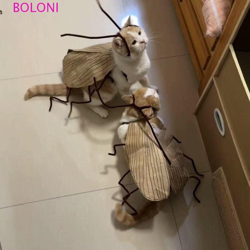 BOLONI Kit De Material De Roupas Para Animais De Estimação , Fantasia De Barata Cosplay De Gato Fofo E Engraçado Transfo