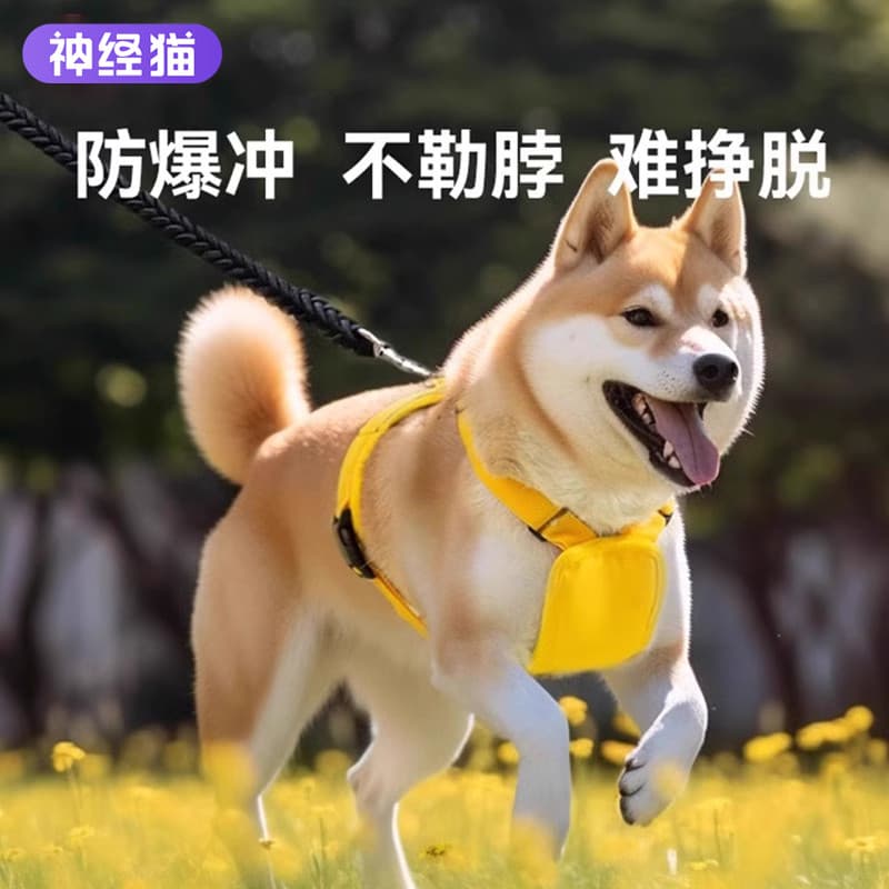 Colete estilo trela do cão pequeno cão cinta peito Teddy Corgi filhote de cachorro peito volta cão corrente trela de cam