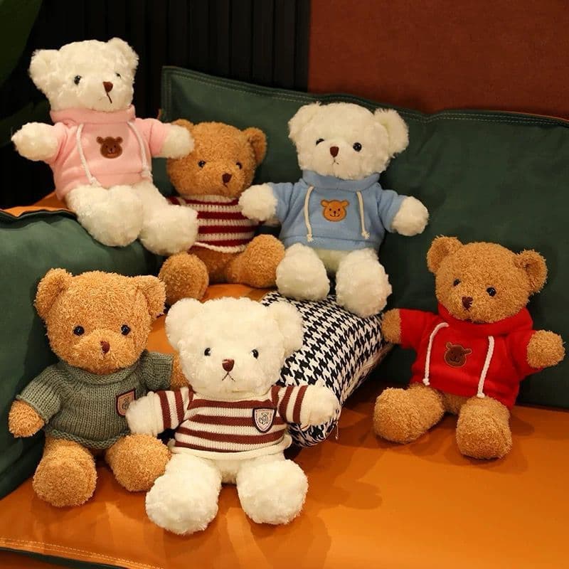 Urso de pelúcia Teddy de 10 polegadas com roupa removível, Bonito Presente de Graduação,