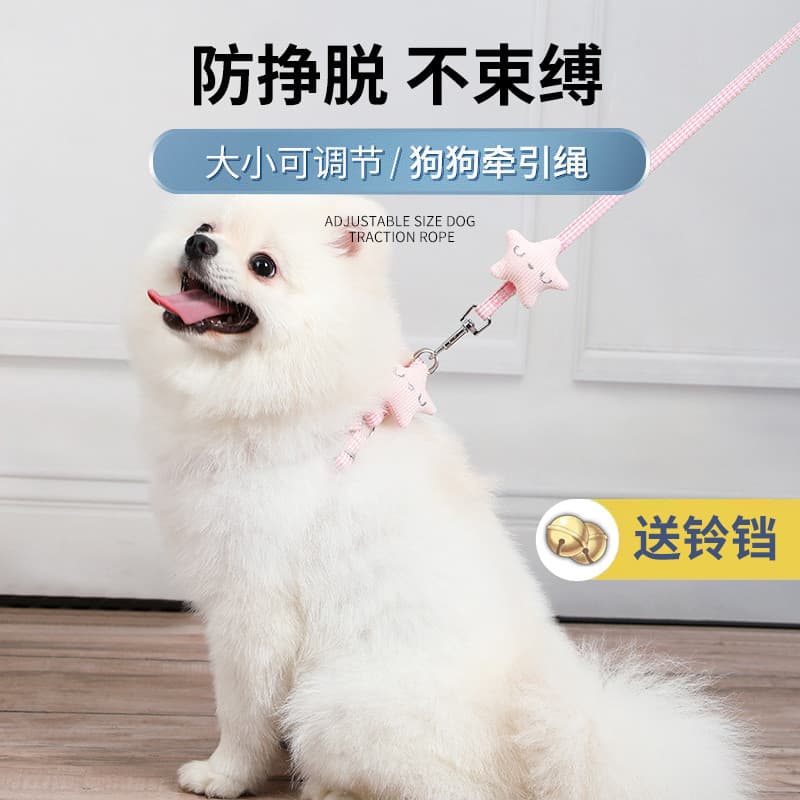 Coleira para cachorro da Pomerânia, coleira para cachorro pequeno, Bichon, caminhada ao ar livre, cachorro, cachorro, su