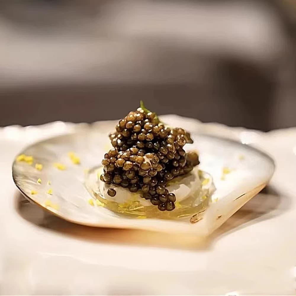 Comida ocidental criativa no local caviar cozinha Molecular japonesa Irregular concha Natural francesa prato de molho de