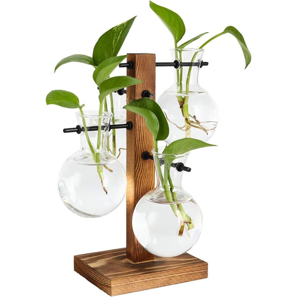 Kit de Terrários PAG Planter para Hidroponia de Mesa, Suporte para Plantas Aéreas com 4 Vasos de Vidro em Forma de Bulbo