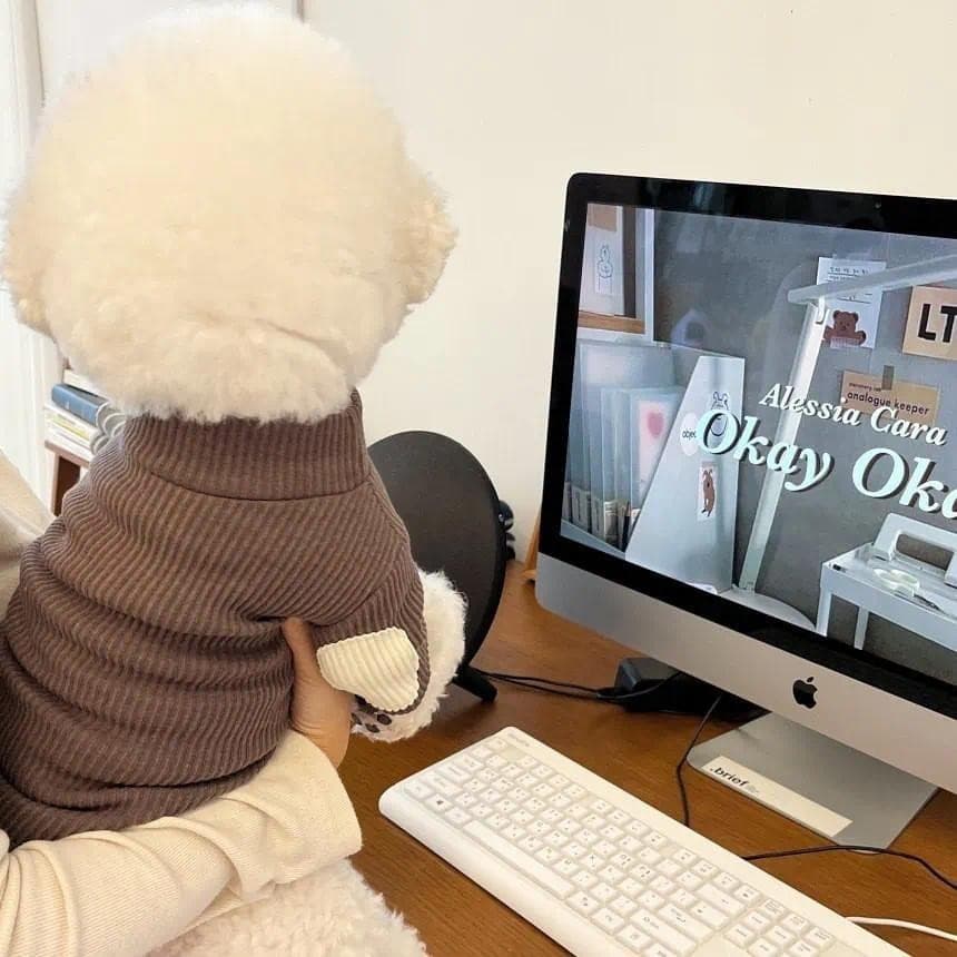 Moda Cão De Estimação Camisa De Fundo Filhote De Cachorro Roupas De Cor Sólida Inverno Teddy Quente Duas Pernas Pet Pood