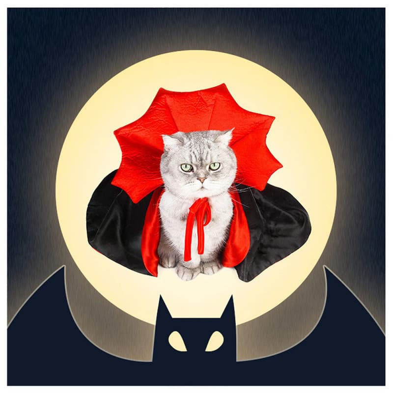 Fantasia De Capa De Halloween Para Animais De Estimação , Asa De Morcego De Vampiro De Bruxa Cachorro E Gato , Cosplay D