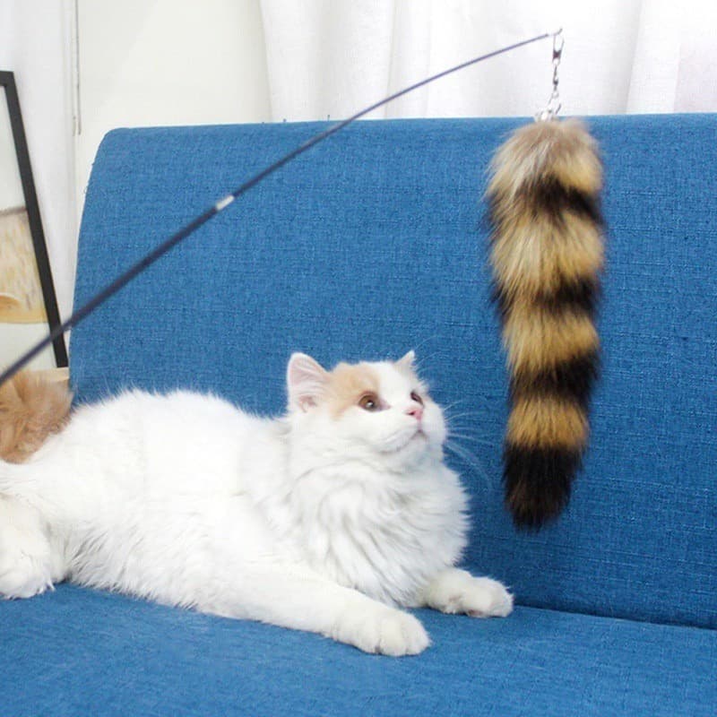 Varinha de Brincar para Gatos, Brinquedos para Gatos, Varinha Telescópica com Cauda de Raposa e Pena, Suprimentos para A
