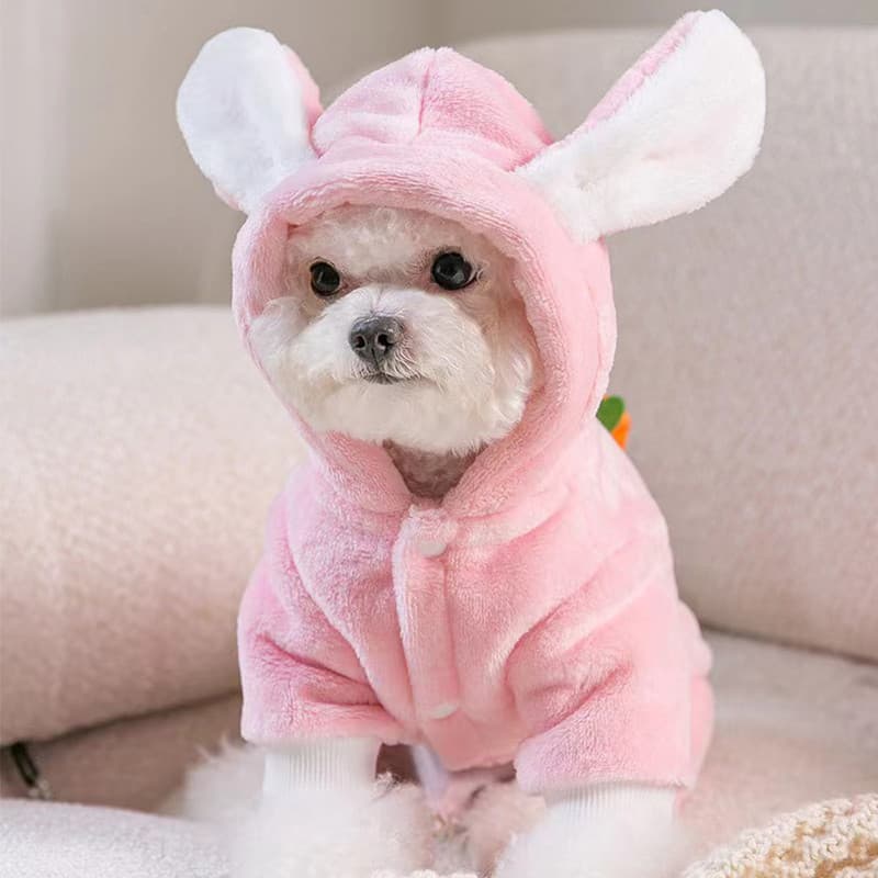 Roupas para cães Roupas de coelho fofas para animais de estimação Teddy Pomeranian Bichon Poodle Filhotes Gato Outono In
